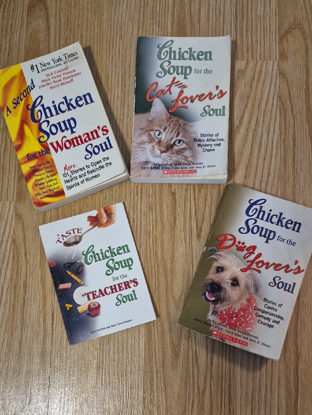 Chicken Soup Books Lot